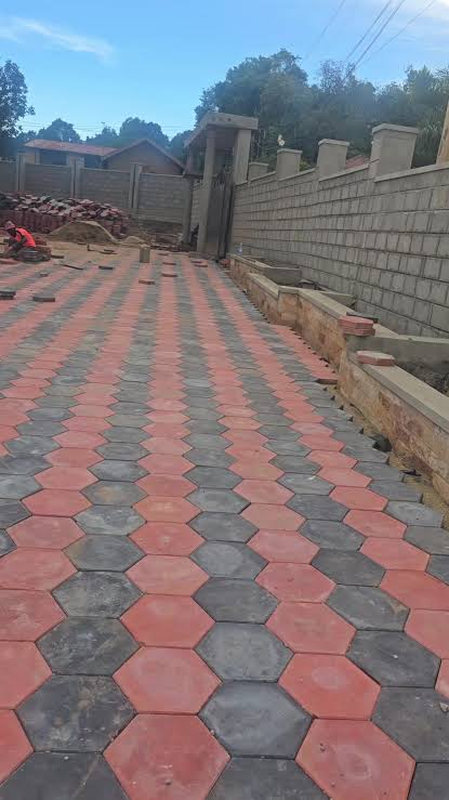 Hexagonal pavers laid in red and grey along a compound driveway
