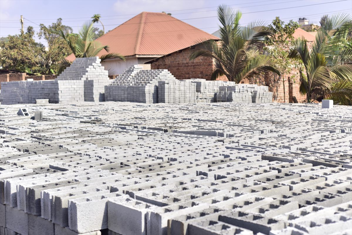 Rows of BOKSWA blocks laid out across the curing field
